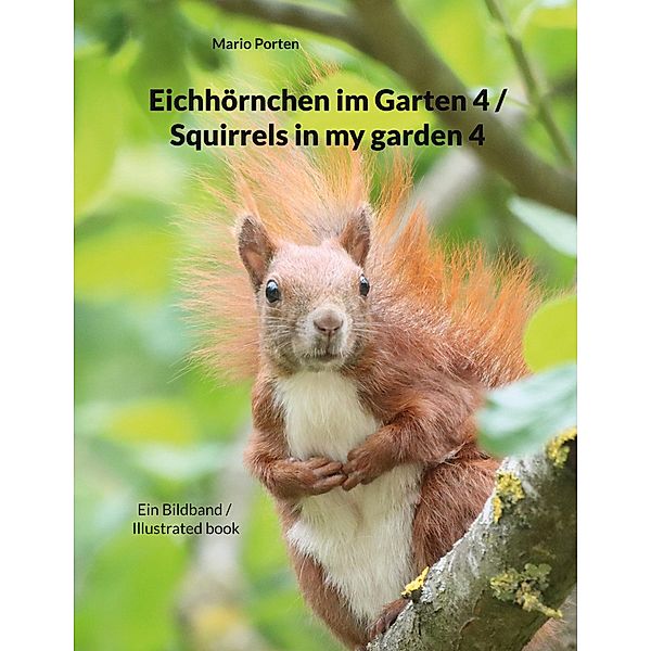 Eichhörnchen im Garten 4 / Squirrels in my garden 4 / Eichhörnchen im Garten Bd.4, Mario Porten