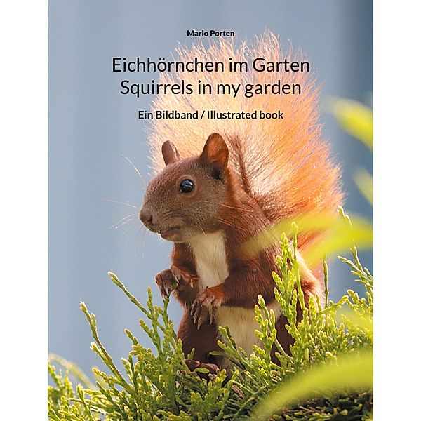 Eichhörnchen im Garten / Squirrels in my garden, Mario Porten