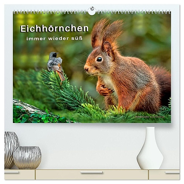 Eichhörnchen - immer wieder süss (hochwertiger Premium Wandkalender 2024 DIN A2 quer), Kunstdruck in Hochglanz, Peter Roder