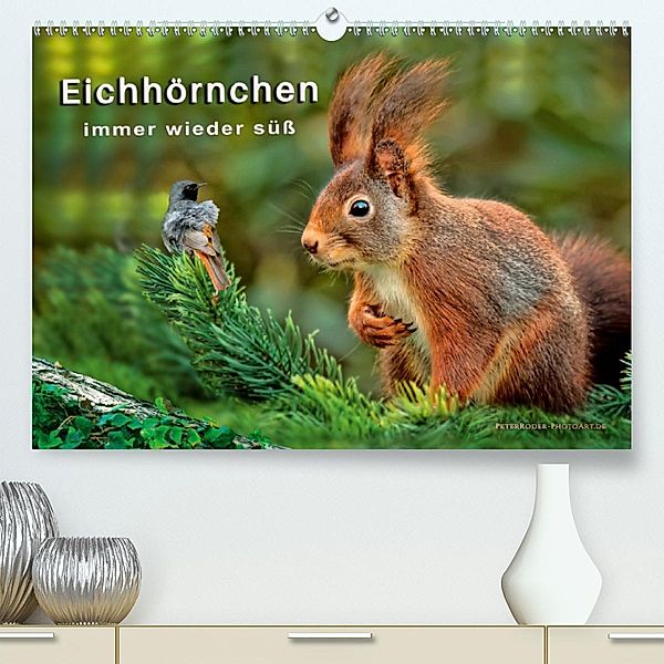 Eichhörnchen - immer wieder süß (Premium, hochwertiger DIN A2 Wandkalender 2020, Kunstdruck in Hochglanz), Peter Roder