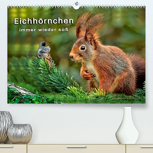 Eichhörnchen - immer wieder süß (Premium, hochwertiger DIN A2 Wandkalender 2023, Kunstdruck in Hochglanz), Peter Roder