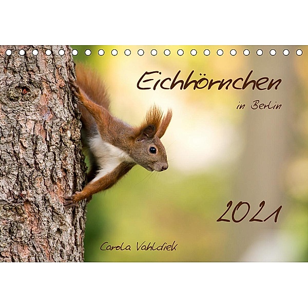 Eichhörnchen in Berlin (Tischkalender 2021 DIN A5 quer), Carola Vahldiek