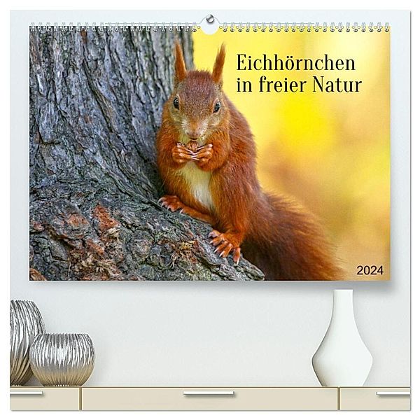 Eichhörnchen in freier Natur (hochwertiger Premium Wandkalender 2024 DIN A2 quer), Kunstdruck in Hochglanz, Schnellewelten