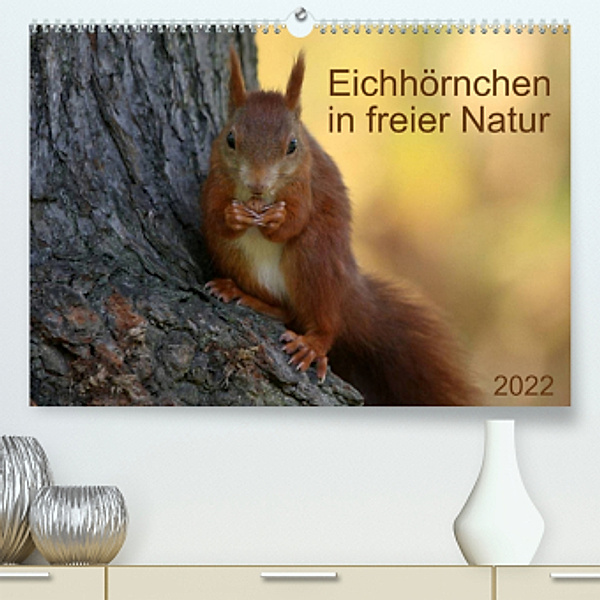 Eichhörnchen in freier Natur (Premium, hochwertiger DIN A2 Wandkalender 2022, Kunstdruck in Hochglanz), SchnelleWelten