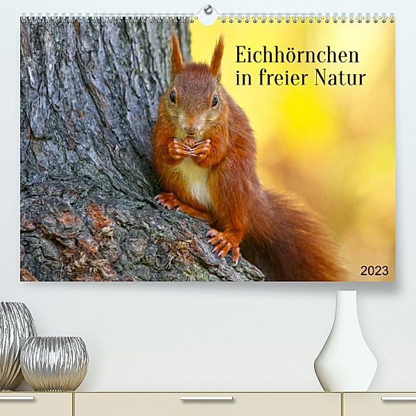 Eichhörnchen in freier Natur (Premium, hochwertiger DIN A2 Wandkalender 2023, Kunstdruck in Hochglanz), Schnellewelten