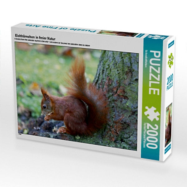 Eichhörnchen in freier Natur (Puzzle), SchnelleWelten