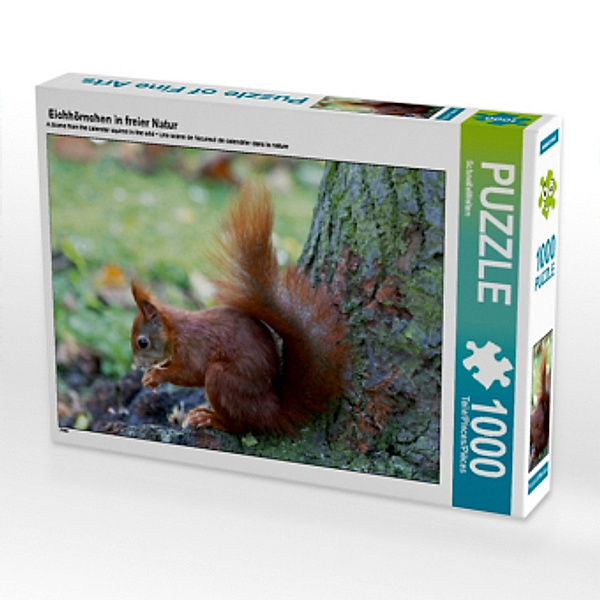 Eichhörnchen in freier Natur (Puzzle), SchnelleWelten