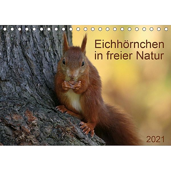 Eichhörnchen in freier Natur (Tischkalender 2021 DIN A5 quer), Schnellewelten