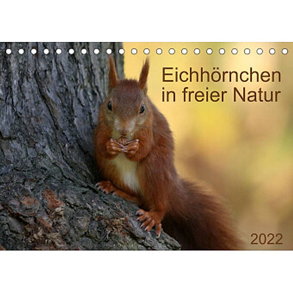 Eichhörnchen in freier Natur (Tischkalender 2022 DIN A5 quer), SchnelleWelten