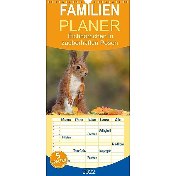 Eichhörnchen in zauberhaften Posen - Familienplaner hoch (Wandkalender 2022 , 21 cm x 45 cm, hoch), Tine Meier
