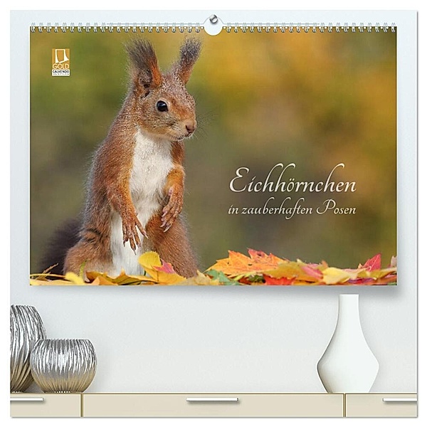 Eichhörnchen in zauberhaften Posen (hochwertiger Premium Wandkalender 2024 DIN A2 quer), Kunstdruck in Hochglanz, Tine Meier