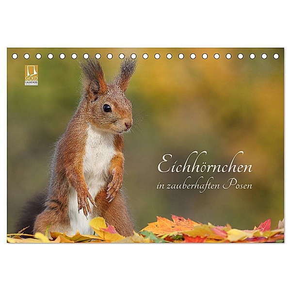 Eichhörnchen in zauberhaften Posen (Tischkalender 2024 DIN A5 quer), CALVENDO Monatskalender, Tine Meier