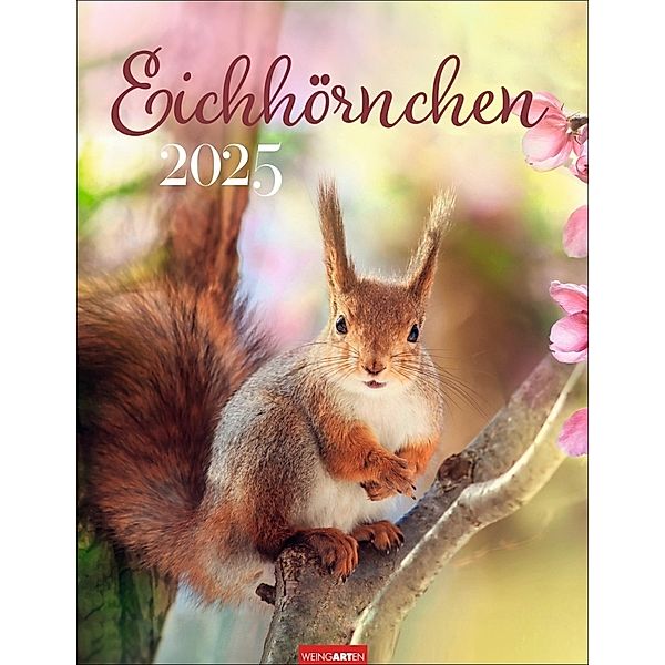 Eichhörnchen Kalender 2025