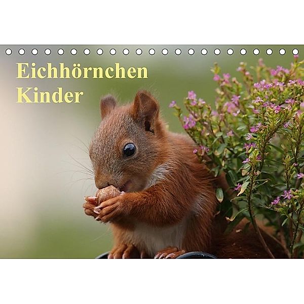 Eichhörnchen Kinder (Tischkalender 2017 DIN A5 quer), Tine Meier