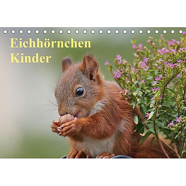 Eichhörnchen Kinder (Tischkalender 2020 DIN A5 quer), Tine Meier