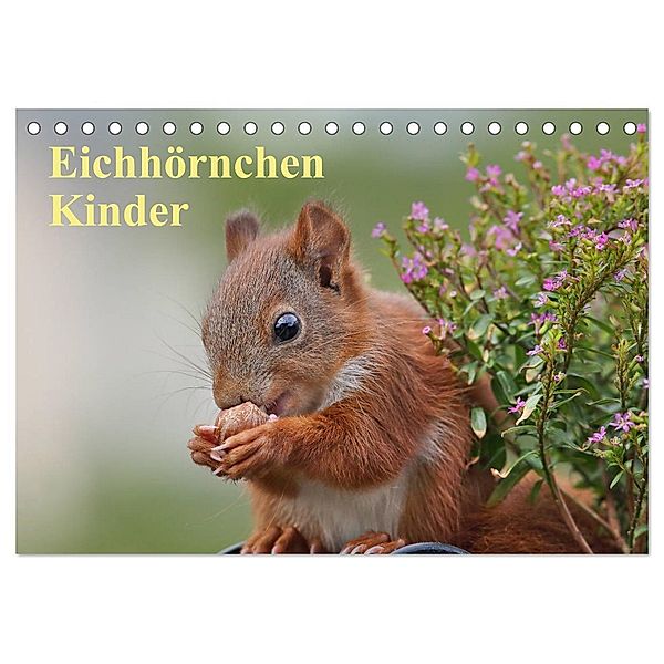 Eichhörnchen Kinder (Tischkalender 2024 DIN A5 quer), CALVENDO Monatskalender, Tine Meier