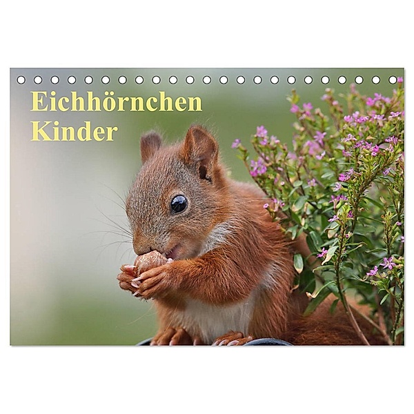 Eichhörnchen Kinder (Tischkalender 2024 DIN A5 quer), CALVENDO Monatskalender, Tine Meier
