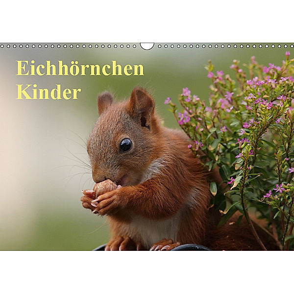 Eichhörnchen Kinder (Wandkalender 2019 DIN A3 quer), Tine Meier