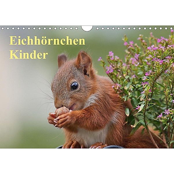 Eichhörnchen Kinder (Wandkalender 2020 DIN A4 quer), Tine Meier