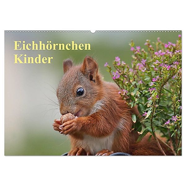Eichhörnchen Kinder (Wandkalender 2024 DIN A2 quer), CALVENDO Monatskalender, Tine Meier