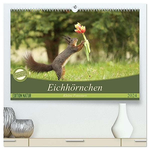 Eichhörnchen - Kleine Fotostars (hochwertiger Premium Wandkalender 2024 DIN A2 quer), Kunstdruck in Hochglanz, Birgit Cerny
