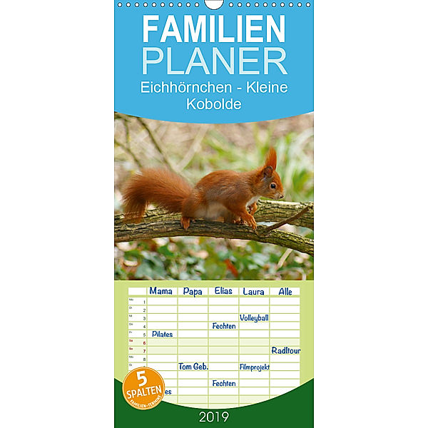 Eichhörnchen - Kleine Kobolde - Familienplaner hoch (Wandkalender 2019 , 21 cm x 45 cm, hoch)