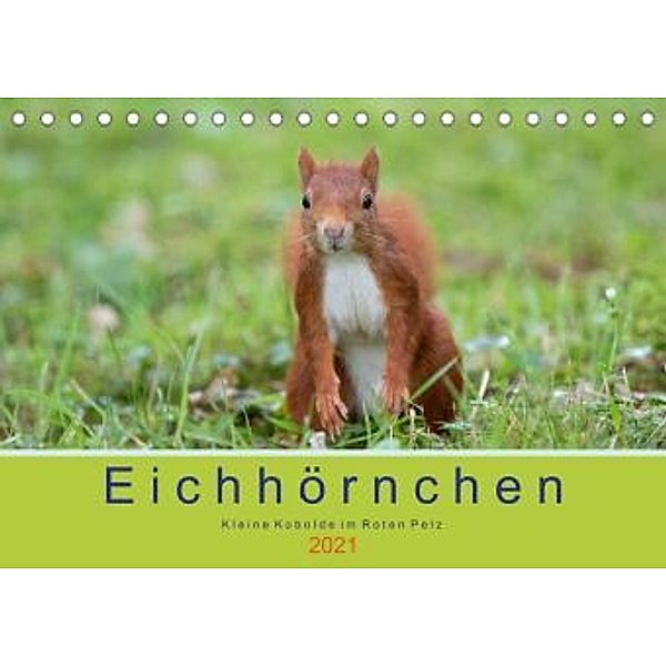 Eichhörnchen - Kleine Kobolde im Roten Pelz (Tischkalender 2021 DIN A5 quer), Margret Brackhan