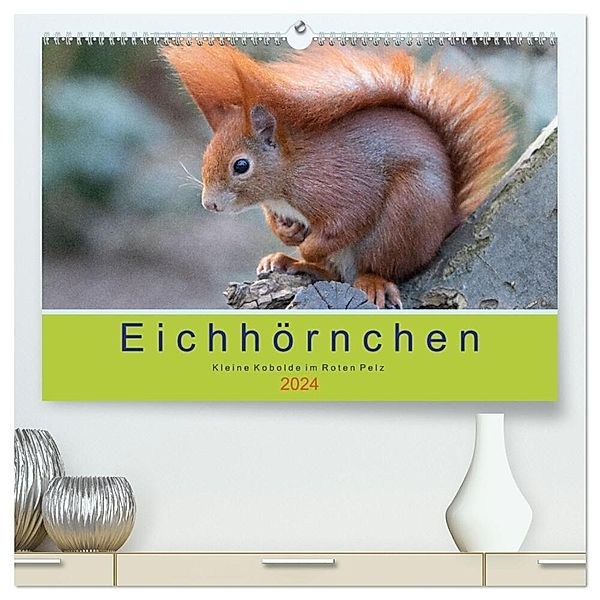 Eichhörnchen - Kleine Kobolde im Roten Pelz (hochwertiger Premium Wandkalender 2024 DIN A2 quer), Kunstdruck in Hochglanz, Margret Brackhan