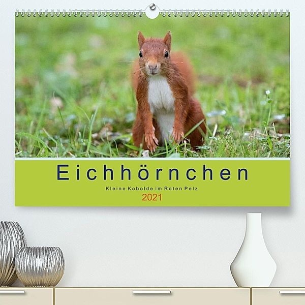 Eichhörnchen - Kleine Kobolde im Roten Pelz (Premium, hochwertiger DIN A2 Wandkalender 2021, Kunstdruck in Hochglanz), Margret Brackhan