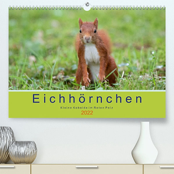Eichhörnchen - Kleine Kobolde im Roten Pelz (Premium, hochwertiger DIN A2 Wandkalender 2022, Kunstdruck in Hochglanz), Margret Brackhan