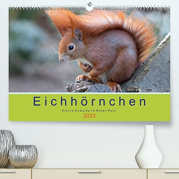 Eichhörnchen - Kleine Kobolde im Roten Pelz (Premium, hochwertiger DIN A2 Wandkalender 2023, Kunstdruck in Hochglanz), Margret Brackhan