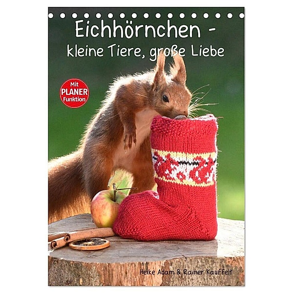 Eichhörnchen - kleine Tiere, große Liebe (Tischkalender 2024 DIN A5 hoch), CALVENDO Monatskalender, Heike Adam
