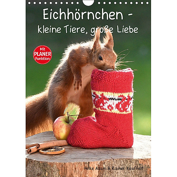 Eichhörnchen - kleine Tiere, grosse Liebe (Wandkalender 2019 DIN A4 hoch), Heike Adam