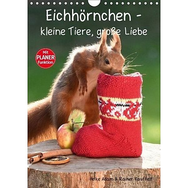 Eichhörnchen - kleine Tiere, große Liebe (Wandkalender 2020 DIN A4 hoch), Heike Adam