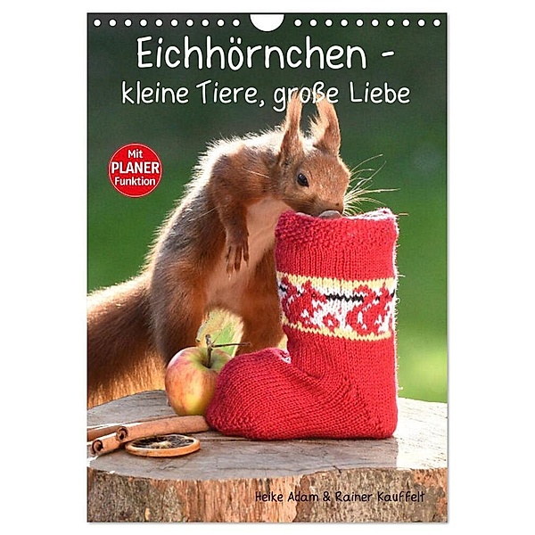 Eichhörnchen - kleine Tiere, grosse Liebe (Wandkalender 2024 DIN A4 hoch), CALVENDO Monatskalender, Heike Adam