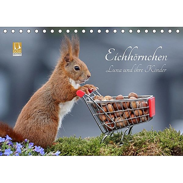 Eichhörnchen Luna und ihre Kinder (Tischkalender 2020 DIN A5 quer), Tine Meier