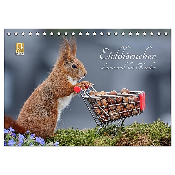 Eichhörnchen Luna und ihre Kinder (Tischkalender 2024 DIN A5 quer), CALVENDO Monatskalender, Tine Meier