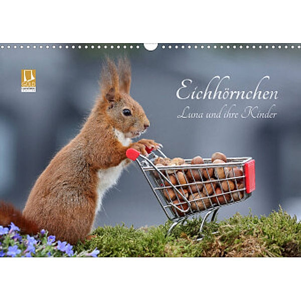 Eichhörnchen Luna und ihre Kinder (Wandkalender 2022 DIN A3 quer), Tine Meier