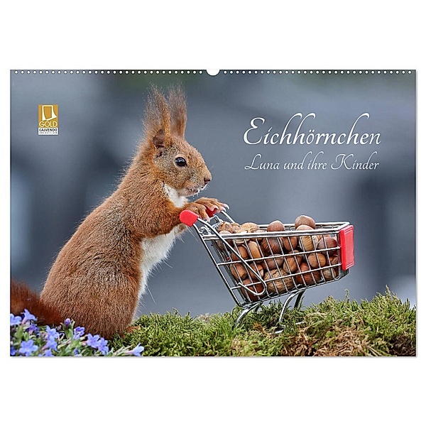 Eichhörnchen Luna und ihre Kinder (Wandkalender 2024 DIN A2 quer), CALVENDO Monatskalender, Tine Meier