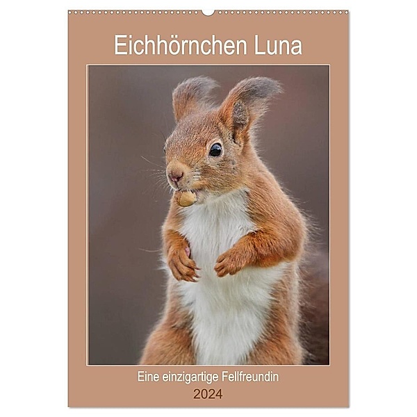Eichhörnchen Luna (Wandkalender 2024 DIN A2 hoch), CALVENDO Monatskalender, Tine Meier