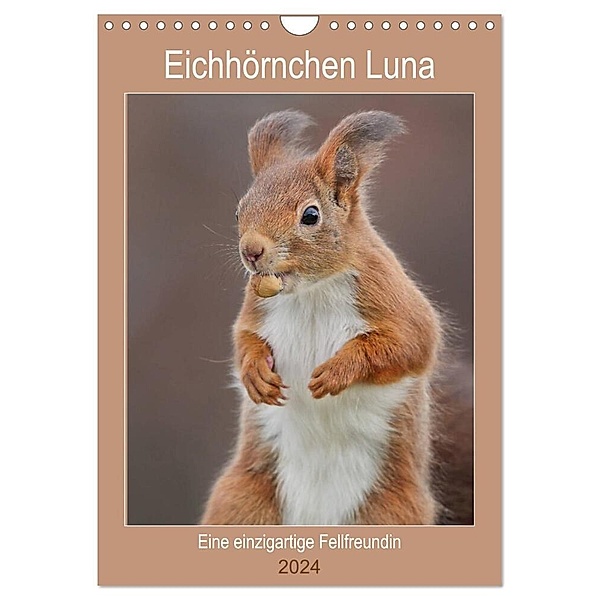 Eichhörnchen Luna (Wandkalender 2024 DIN A4 hoch), CALVENDO Monatskalender, Tine Meier