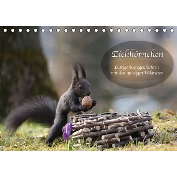 Eichhörnchen - Lustige Kurzgeschichten mit den quirligen Wildtieren (Tischkalender 2017 DIN A5 quer), Birgit Cerny