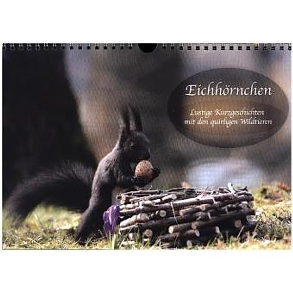 Eichhörnchen - Lustige Kurzgeschichten mit den quirligen Wildtieren (Wandkalender 2017 DIN A4 quer), Birgit Cerny