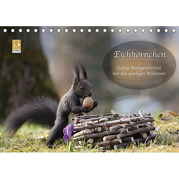 Eichhörnchen - Lustige Kurzgeschichten mit den quirligen Wildtieren (Tischkalender 2019 DIN A5 quer), Birgit Cerny