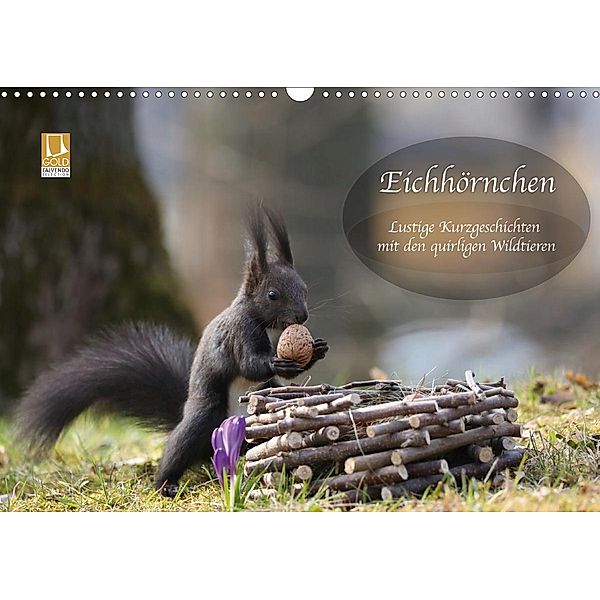 Eichhörnchen - Lustige Kurzgeschichten mit den quirligen Wildtieren (Wandkalender 2021 DIN A3 quer), Birgit Cerny