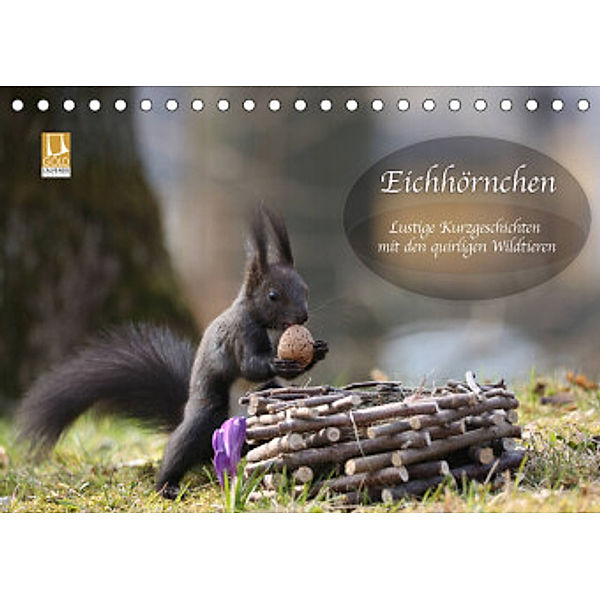 Eichhörnchen - Lustige Kurzgeschichten mit den quirligen Wildtieren (Tischkalender 2022 DIN A5 quer), Birgit Cerny