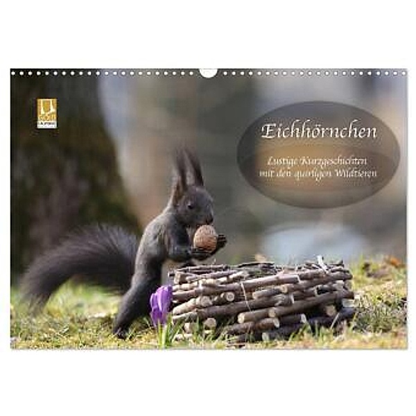 Eichhörnchen - Lustige Kurzgeschichten mit den quirligen Wildtieren (Wandkalender 2024 DIN A3 quer), CALVENDO Monatskale, Birgit Cerny