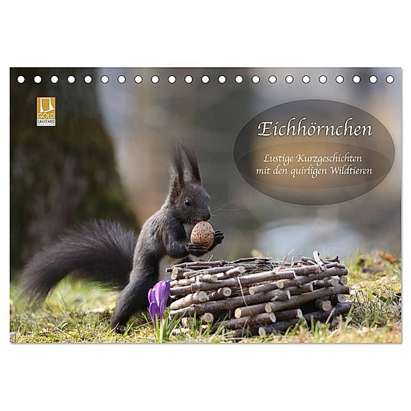 Eichhörnchen - Lustige Kurzgeschichten mit den quirligen Wildtieren (Tischkalender 2024 DIN A5 quer), CALVENDO Monatskalender, Birgit Cerny