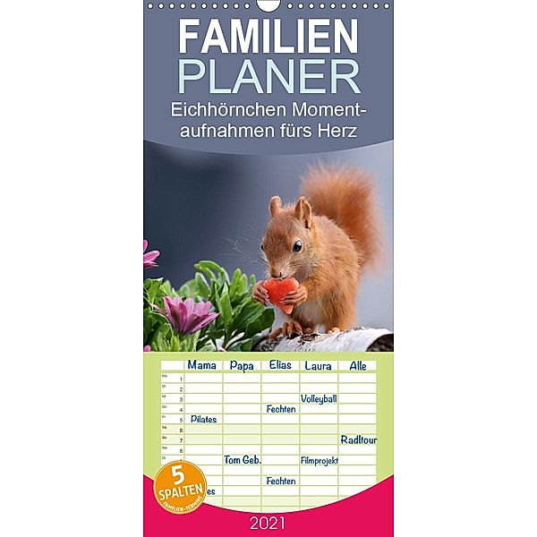 Eichhörnchen Momentaufnahmen fürs Herz - Familienplaner hoch (Wandkalender 2021 , 21 cm x 45 cm, hoch), Tine Meier