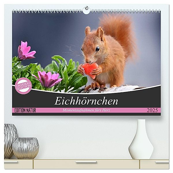 Eichhörnchen Momentaufnahmen fürs Herz (hochwertiger Premium Wandkalender 2025 DIN A2 quer), Kunstdruck in Hochglanz, Calvendo, Tine Meier